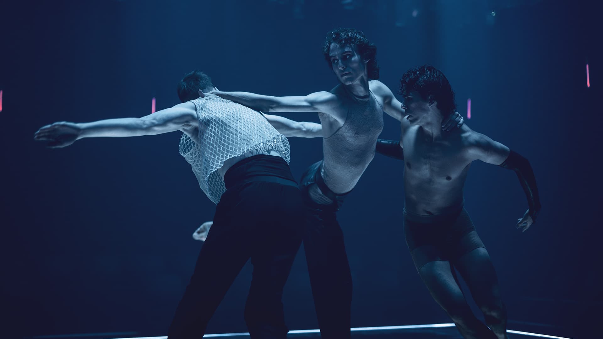 Somos | Sydney Dance Company - Australian Stage Online