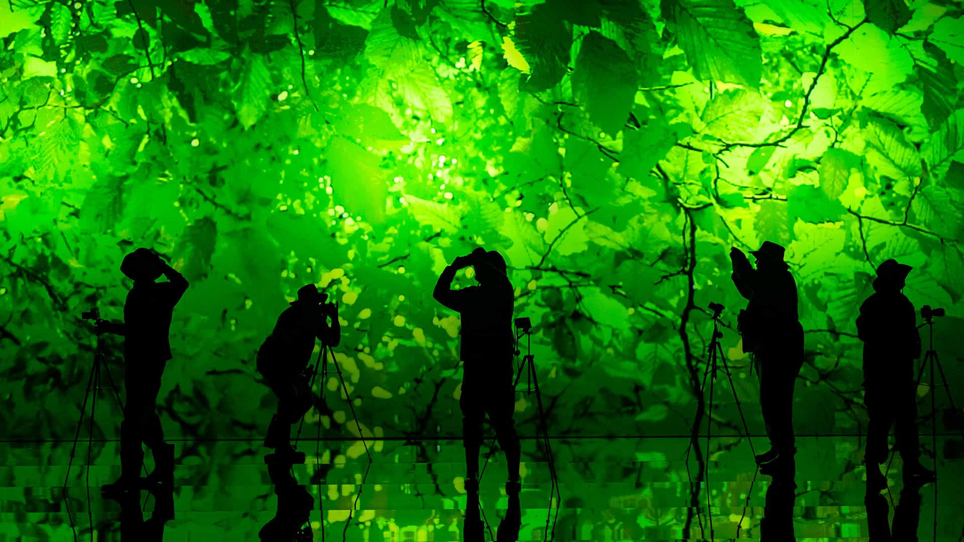 The Fairy Queen | Pinchgut Opera - Australian Stage Online